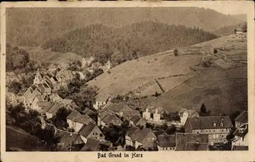 Ak Bad Grund im Harz, Panorama
