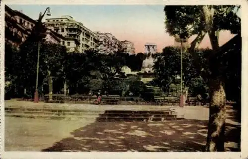 Ak Algier Algier Algerien, Eine Ecke der Gärten des Boulevard Laferriere