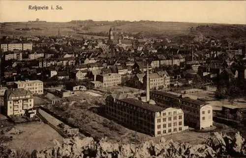 Ak Roßwein in Sachsen, Panorama