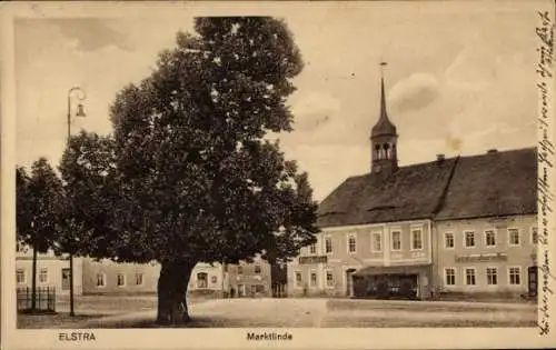 Ak Elstra in der Oberlausitz Sachsen, Marktlinde