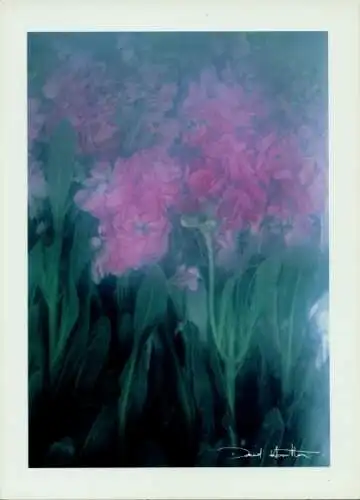 Ak Fotograf David Hamilton, Bouquets, Blumen