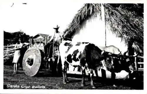 Ak Santa Cruz de la Sierra Bolivien, Bauern, Fuhrwerk, Kühe