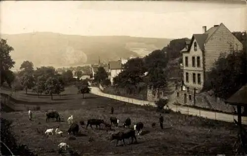 Ak Niederlahnstein Lahnstein am Rhein, Panorama