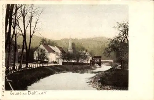 Ak Dahl Hagen in Westfalen, Teilansicht