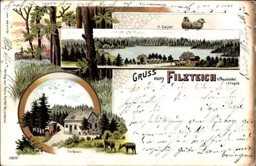 Litho Neustädtel Schneeberg im Erzgebirge, Bergsee Filzteich, Torfstich