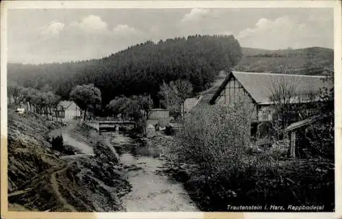 Ak Trautenstein Oberharz am Brocken, Teilansicht vom Ort, Rappbodetal