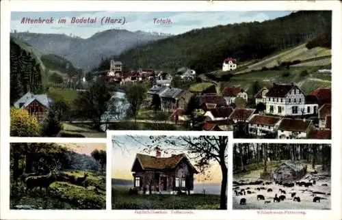 Ak Altenbrak Thale im Harz, Totalansicht, Jagdschlösschen, Hirsche, Wildschweinfütterung