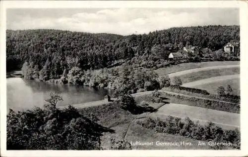 Ak Gernrode Quedlinburg im Harz, Partie am Osterteich, Wald, Häuser