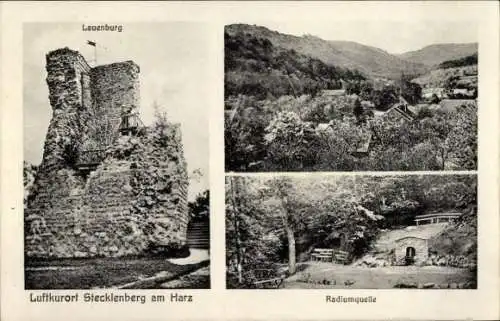 Ak Stecklenberg Thale im Harz, Ruine der Lauenburg, Radiumquelle, Ortsansicht