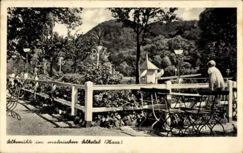 Ak Ballenstedt im Harz, Gasthaus Selkemühle, Inh. Fritz Böcker