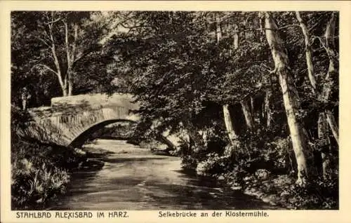 Ak Alexisbad Harzgerode am Harz, Selkebrücke an der Klostermühle
