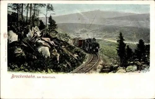 Ak Brocken Nationalpark Harz, Brockenbahn, Eckerloch