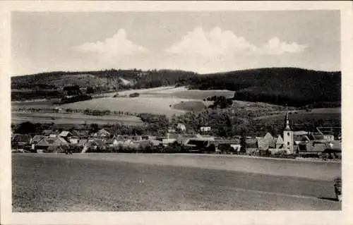 Ak Meisdorf Falkenstein im Harz, Panorama