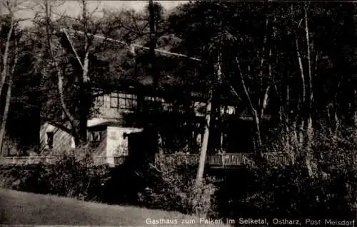 Ak Falkenstein im Harz, Gasthaus zum Falken im Selketal