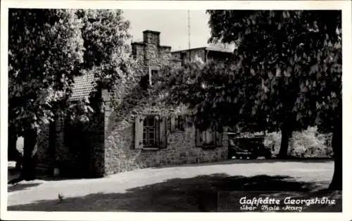 Ak Thale Harz, Partie an der Gaststätte Georgshöhe