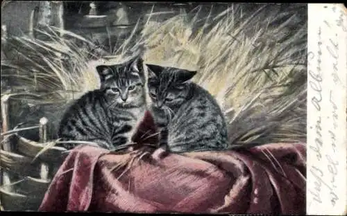 Ak Zwei graue Katzen, Stroh, Korb, Decke