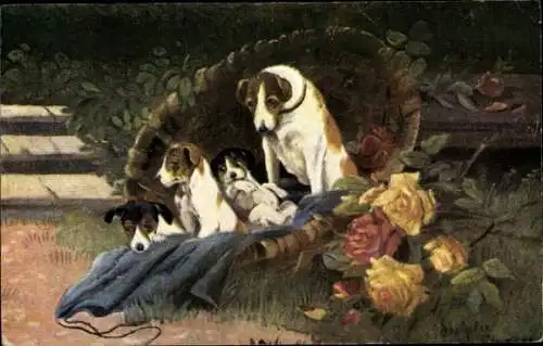 Künstler Ak Hunde, Terrier mit drei Welpen in einem Weidenkorb, Blaue Decke