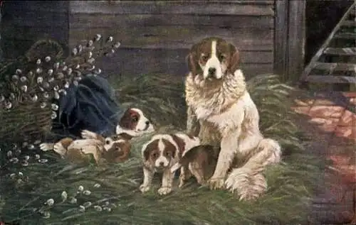 Ak Bernhardiner mit vier Welpen, Weidenkätzchen