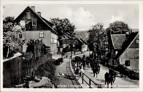 Ak Altenau Clausthal Zellerfeld im Oberharz, Bergstraße m. Kuhherde