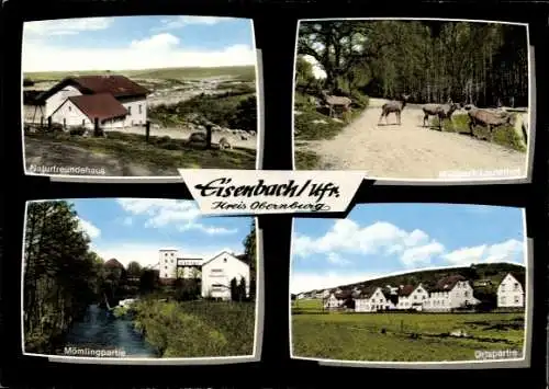 Ak Eisenbach Obernburg am Main Unterfranken, Naturfreundehaus, Wildpark Lauterhof, Mömlingpartie
