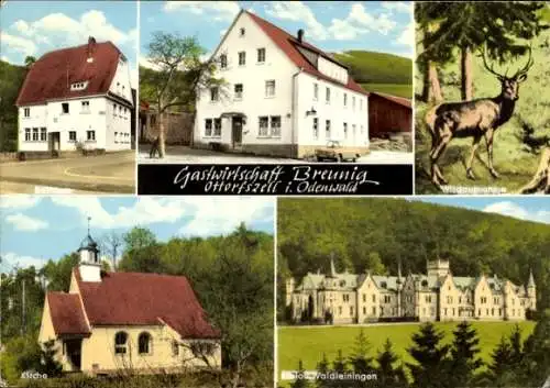 Ak Ottorfszell Kirchzell im Odenwald Unterfranken, Gastwirtschaft, Schloss Waldleiningen, Kirche
