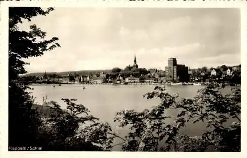 Ak Kappeln an der Schlei, Blick auf den Ort