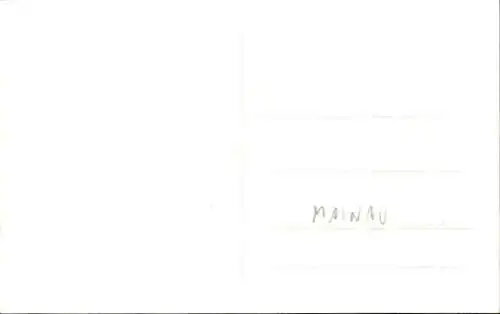 Foto Ak Insel Mainau im Bodensee, Palmen