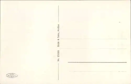 Ak Pegau in Sachsen, Königsplatz