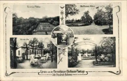 Ak Herrenhausen Hannover in Niedersachsen, Obstbaum Plantage, Tennisplätze, Veranda