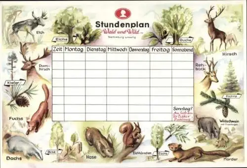 Stundenplan Dr. Oetker Vanillin-Zucker, Wald und Tiere, Hirsch, Elch, Fuchs um 1960