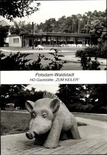 Ak Waldstadt Potsdam in Brandenburg, HO Gaststätte Zum Keiler, Plastik