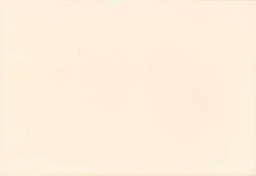 Foto PKW, Citroen ZX