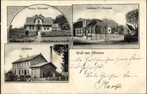 Ak Offensen Wienhausen Lüneburger Heide, Molkerei, Haus Gustav Niemann, Gasthaus F. Niemann