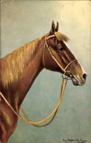 Künstler Ak Müller, August, Pferd mit Zaumzeug