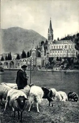 Ak Lourdes Hautes Pyrénées, Basilika, Hirte, Schafe