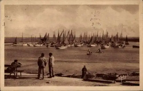 Ak Oléron Charente Maritime, La Cotiniers