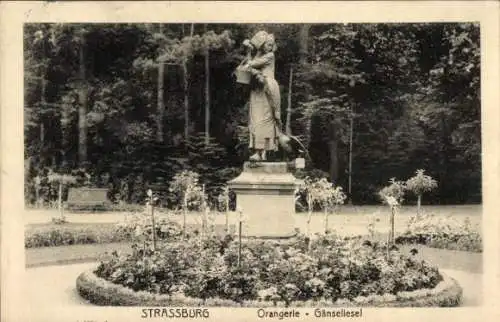Ak Strasbourg Straßburg Elsass Bas Rhin, Orangerie, Gänseliesel