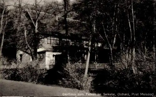 Ak Falkenstein im Harz, Gasthaus zum Falken im Selketal