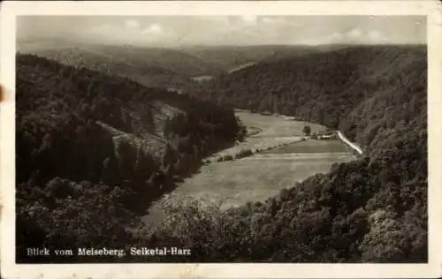 Ak Harzgerode am Harz, Blick vom Meiseberg, Selketal