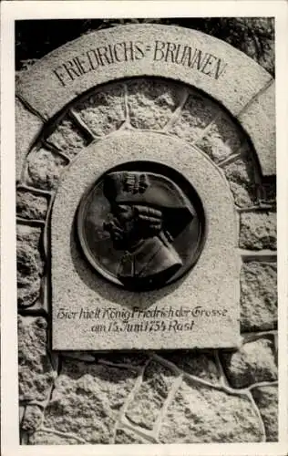 Ak Friedrichsbrunn Thale im Harz, Friedrichsbrunnen