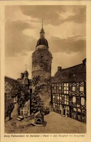 Ak Falkenstein im Harz, Selketal, Burg, Der Burghof mit Bergfried