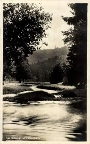 Ak Harzgerode Ostharz, Partie am Frankenteich, Selketal, Falkenstein