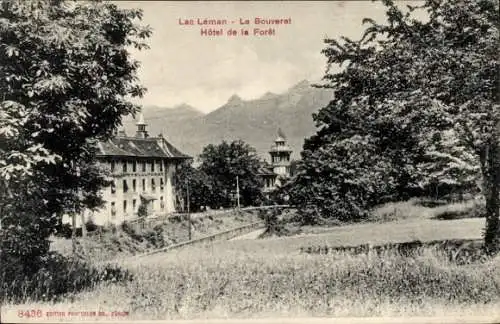 Ak Le Bouveret Kanton Wallis, Hotel de la Foret