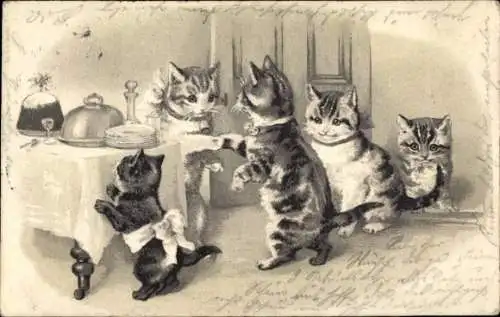 Präge Litho Katzen zu Tisch