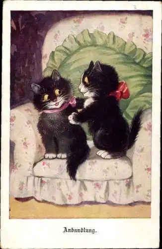 Ak Katzen am Anbandeln