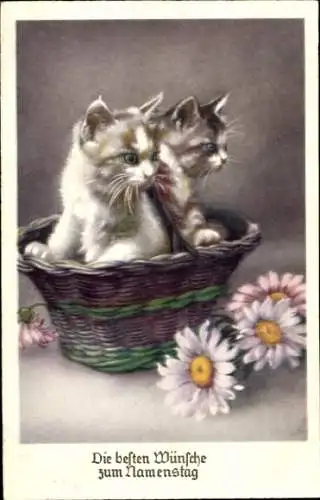 Ak Glückwunsch Namenstag, Katzen im Korb, Blumen