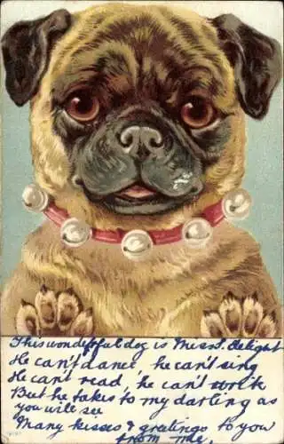 Litho Hund mit Halsband, Mops, Tierporträt