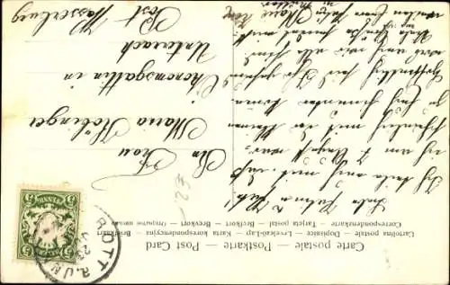 Ak Zwei braun-weiße Hunde, Birken