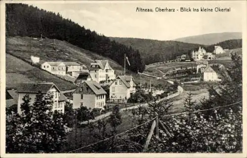 Ak Altenau Clausthal Zellerfeld im Oberharz, Blick ins kleine Okertal