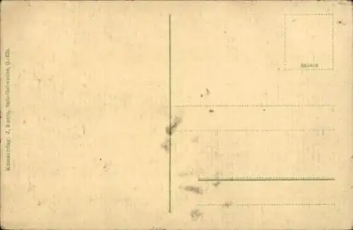 Ak Drahtseilbahn in den Vogesen, Panorama